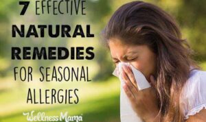 Allergy remedies natural relief season allergies skin some as herbs wellnessmama here be effective seasonal very wellness mama least approaches