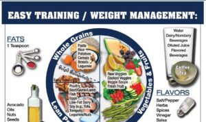 Nutrition athletes young sports blog