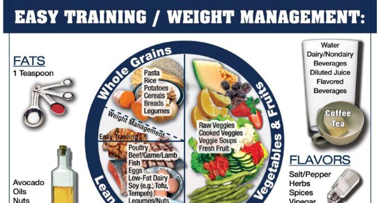 Nutrition athletes young sports blog