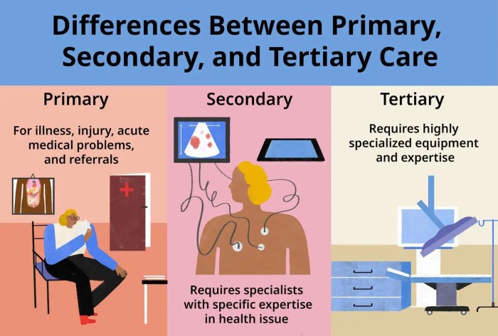 Primary Care